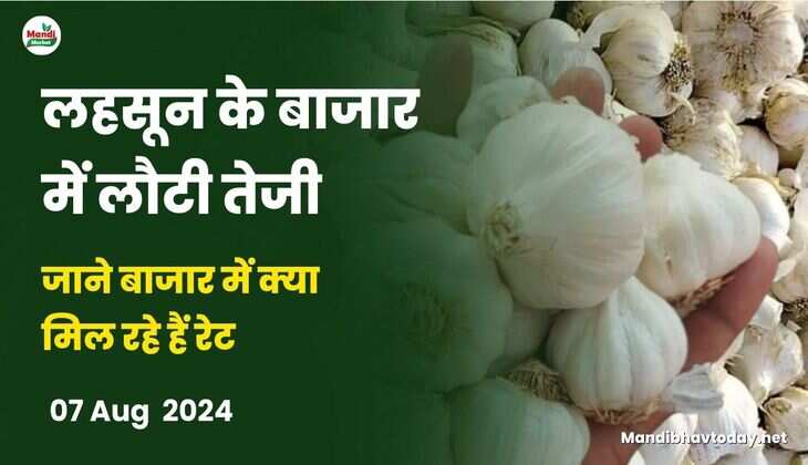 जाने बाजार में क्या मिल रहे हैं रेट