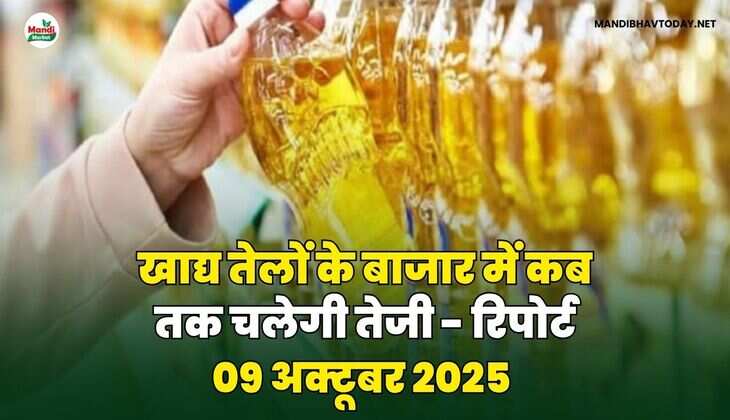 खाद्य तेलों के बाजार में कब तक चलेगी तेजी - रिपोर्ट