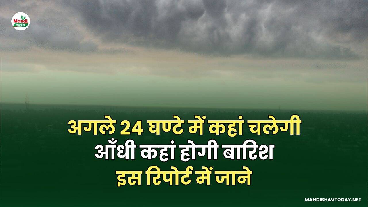 इस रिपोर्ट में जाने