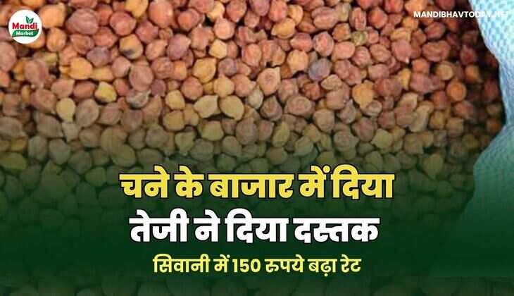 चना ई,ages रेट