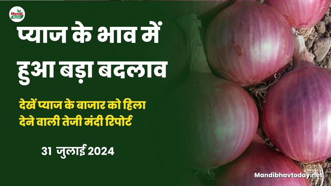 प्याज के भाव में हुआ बड़ा बदलाव | देखें प्याज के बाजार को हिला देने वाली तेजी मंदी रिपोर्ट