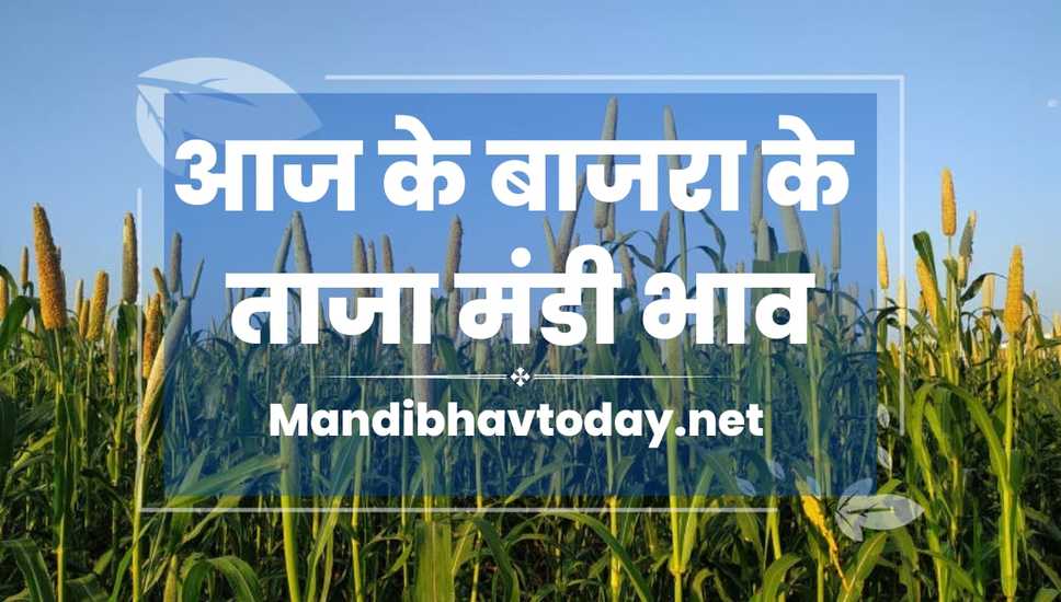 आज के बाजरा के ताजा मंडी भाव | aaj ke bajra ke mandi bhav 28 oct 2023