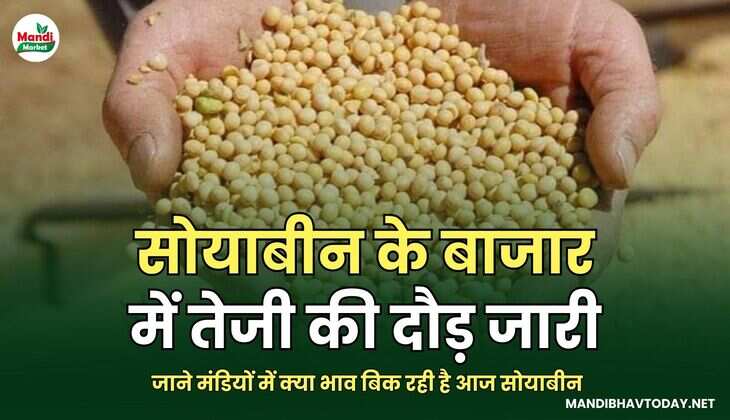 सोयाबीन के बाजार में तेजी की दौड़ जारी | जाने मंडियों में क्या भाव बिक रही है आज सोयाबीन