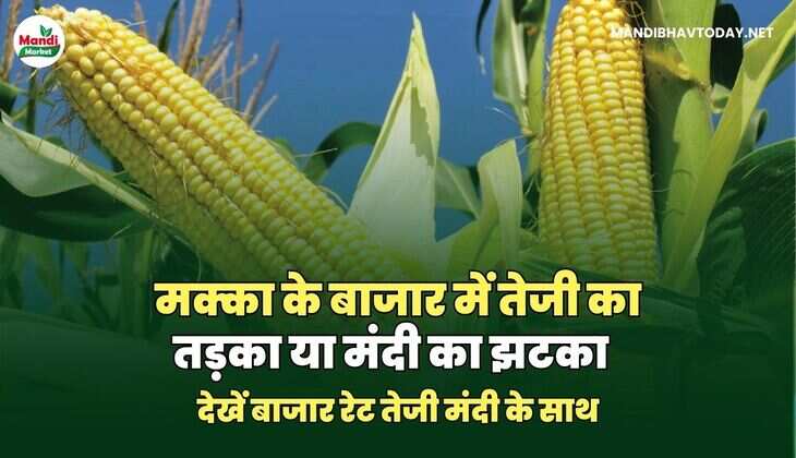 मक्का IMAGES