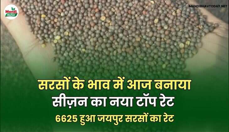 6625 हुआ जयपुर