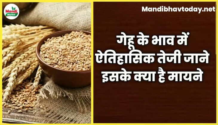 गेहू के भाव में ऐतिहासिक तेजी जाने इसके क्या है मायने