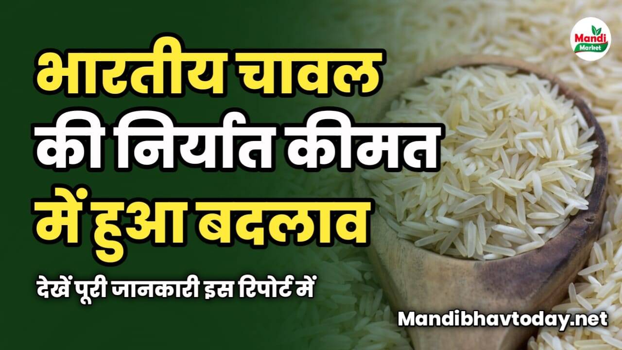 भारतीय चावल की निर्यात कीमत में हुआ बदलाव | देखें पूरी जानकारी इस रिपोर्ट में