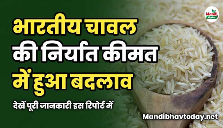 भारतीय चावल की निर्यात कीमत में हुआ बदलाव | देखें पूरी जानकारी इस रिपोर्ट में 