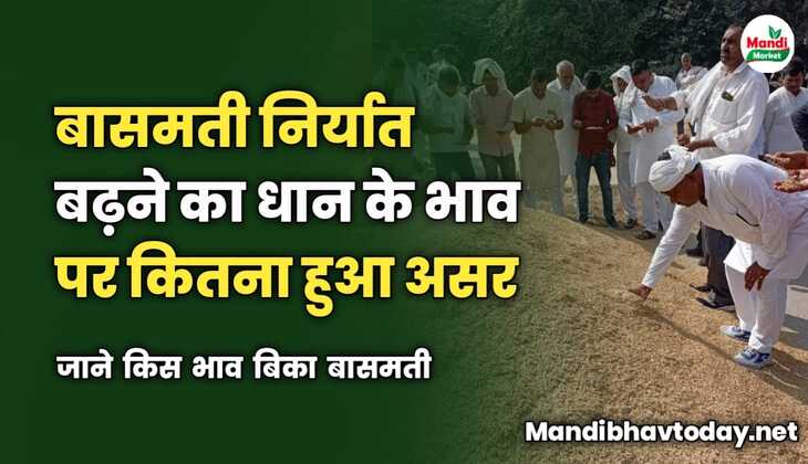 बासमती निर्यात बढ़ने का धान के भाव पर क्या हुआ असर | जाने किस भाव बिका बासमती