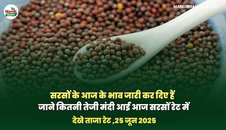 सरसों के आज के भाव जारी कर दिए हैं | जाने कितनी तेजी मंदी आई आज&nbsp;सरसों&nbsp;रेट&nbsp;में