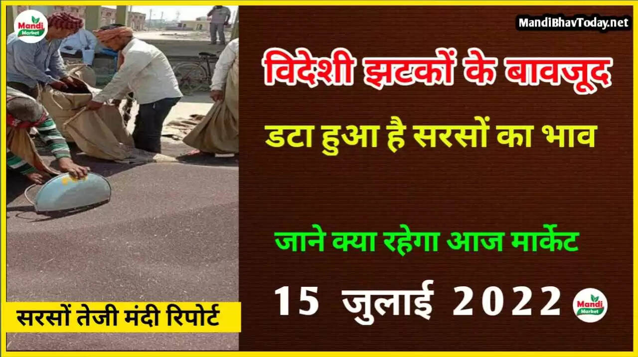 Sarso teji mandi report