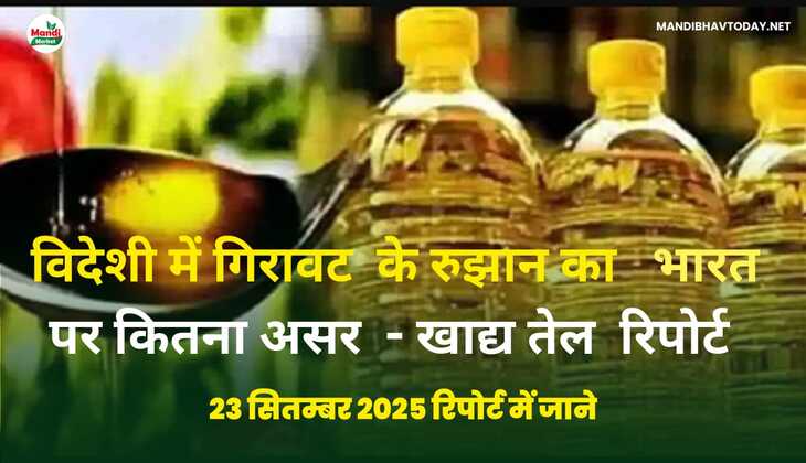 विदेशी में गिरावट के रूझान का भारत पर कितना असर - खाद्य तेल रिपोर्ट