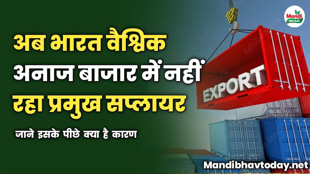 अब भारत वैश्विक अनाज बाजार में नहीं रहा प्रमुख सप्लायर | जाने इसके पीछे क्या है कारण