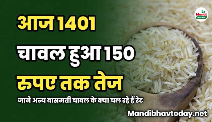 आज 1401 चावल हुआ 150 रुपए तक तेज | जाने अन्य बासमती चावल के क्या चल रहे हैं रेट