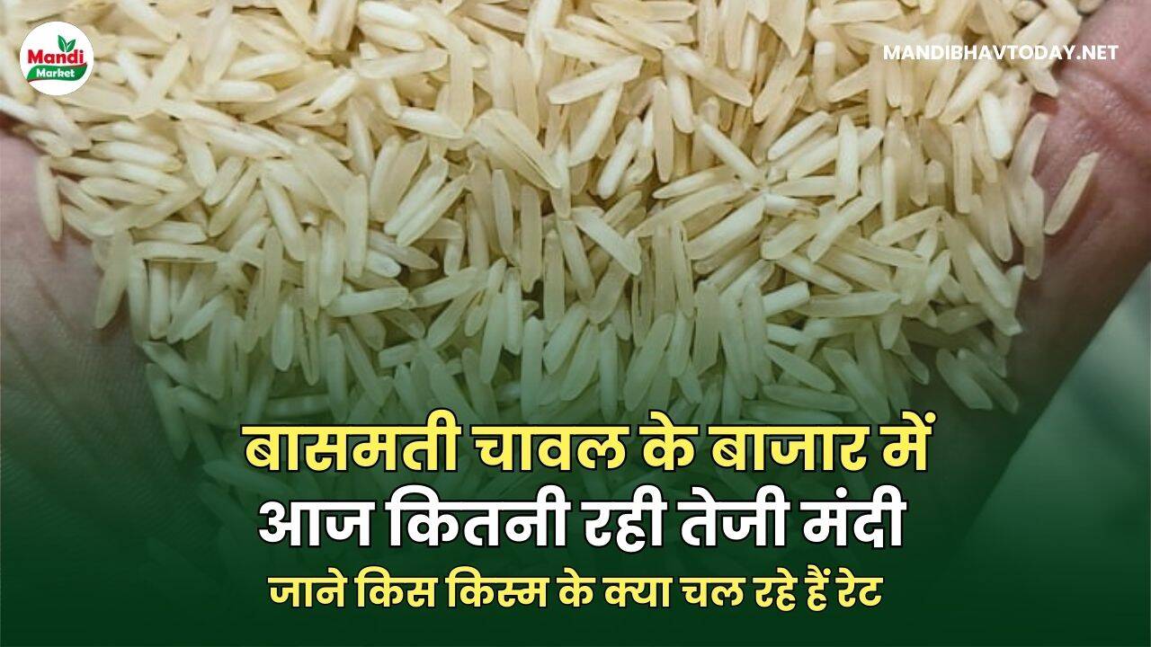 basmati rateरेट