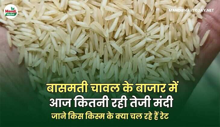 basmati rateरेट