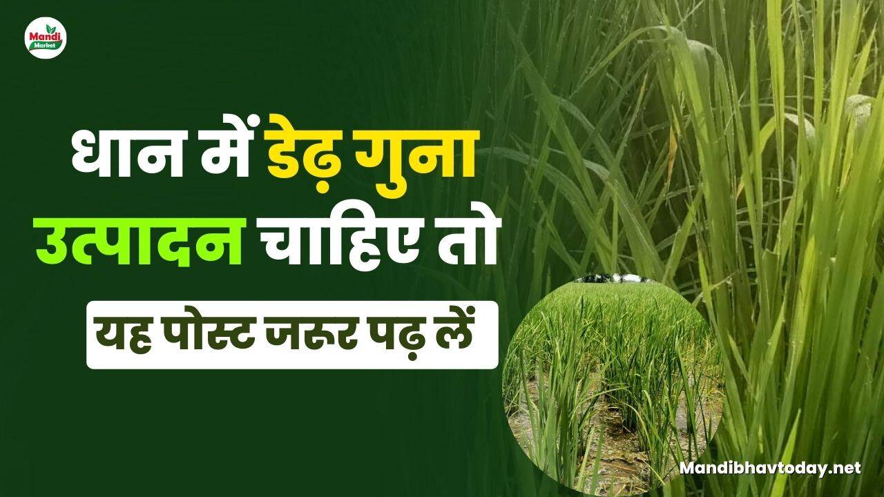 यह पोस्ट जरूर पढ़ लें