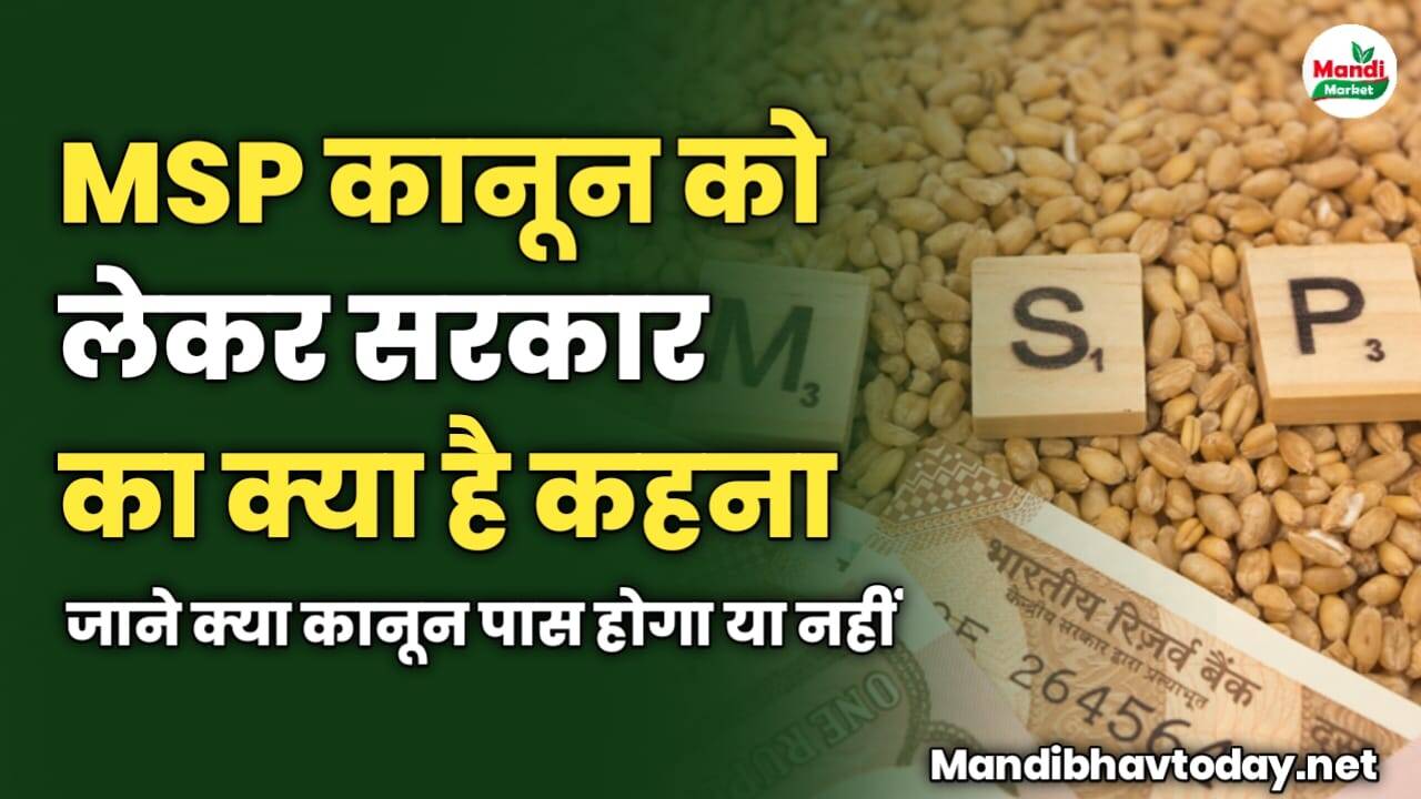 MSP कानून को लेकर सरकार का क्या है कहना | जाने क्या कानून पास होगा या नहीं 