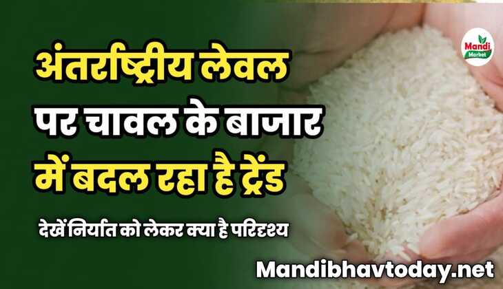 अंतर्राष्ट्रीय लेवल पर चावल के बाजार में बदल रहा है ट्रेंड | देखें निर्यात को लेकर क्या है परिदृश्य