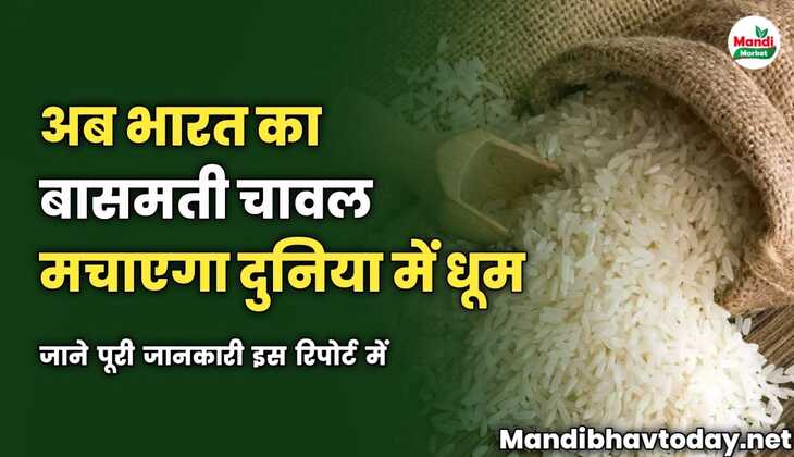 अब भारत का बासमती चावल मचाएगा दुनिया में धूम | जाने पूरी जानकारी इस रिपोर्ट में 