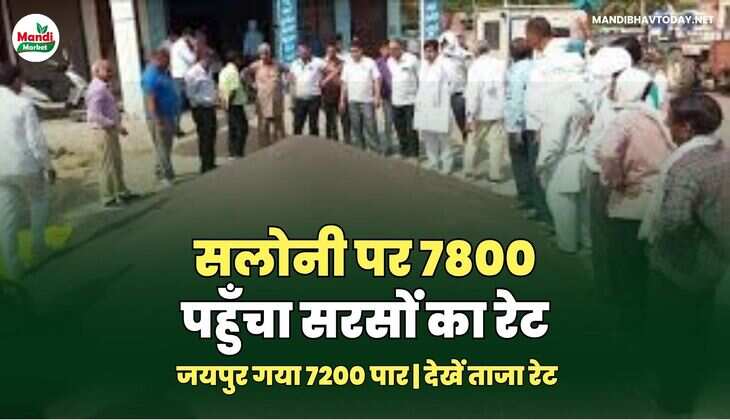 सरसों IMAGES