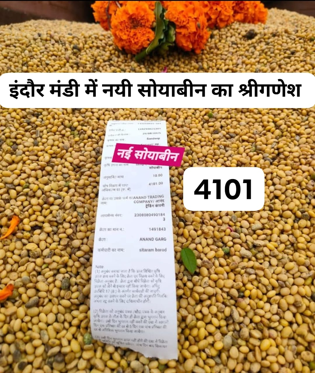 न्यू सोयाबीन