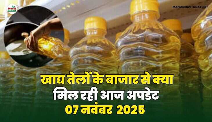 खाद्य तेलों के बाजार से क्या मिल रही आज अपडेट 