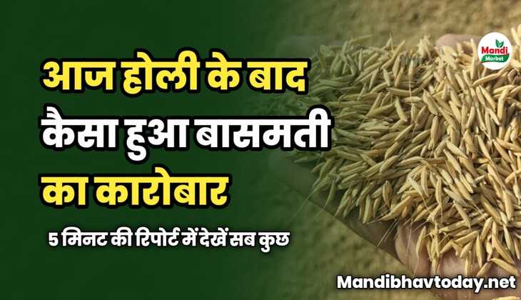 होली के बाद कैसा हुआ बासमती का कारोबार | 5 मिनट की रिपोर्ट में देखें सब कुछ