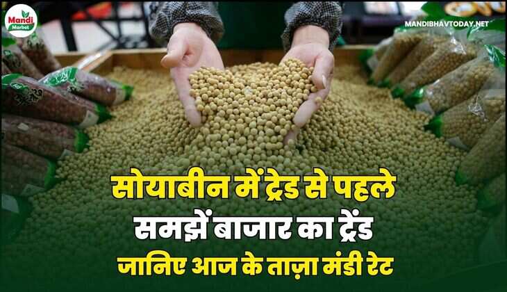 सोयाबीन में ट्रेड से पहले समझें बाजार का ट्रेंड | जानिए आज के ताज़ा मंडी रेट 02 MAR 26