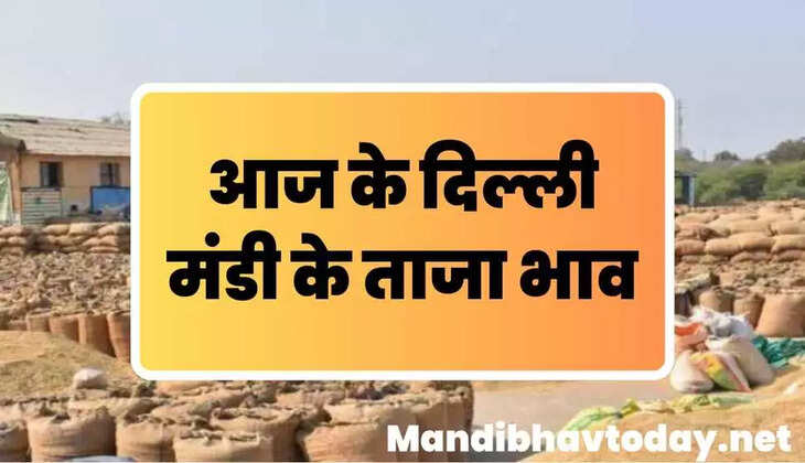 देखे आज के दिल्ली मंडी के ताजा मंडी भाव | delhi mandi ke bhav 08&nbsp;August 2024