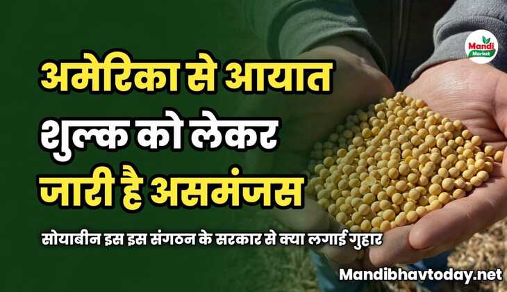 अमेरिका से आयात शुल्क को लेकर जारी है असमंजस | सोयाबीन इस इस संगठन के सरकार से क्या लगाई गुहार | देखें रिपोर्ट में