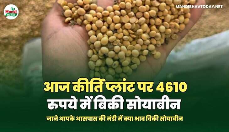 जाने आपके आसपास की मंडी में क्या भाव बिकी सोयाबीन 