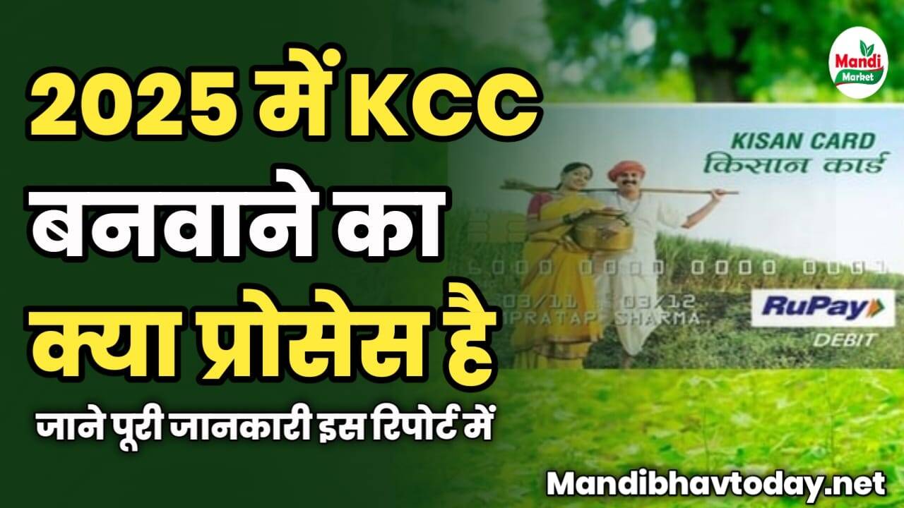 2025 में KCC बनवाने का क्या प्रोसेस है | जाने पूरी जानकारी इस रिपोर्ट में