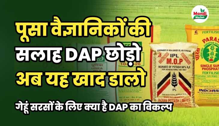 dap ki jagah par kya daale 