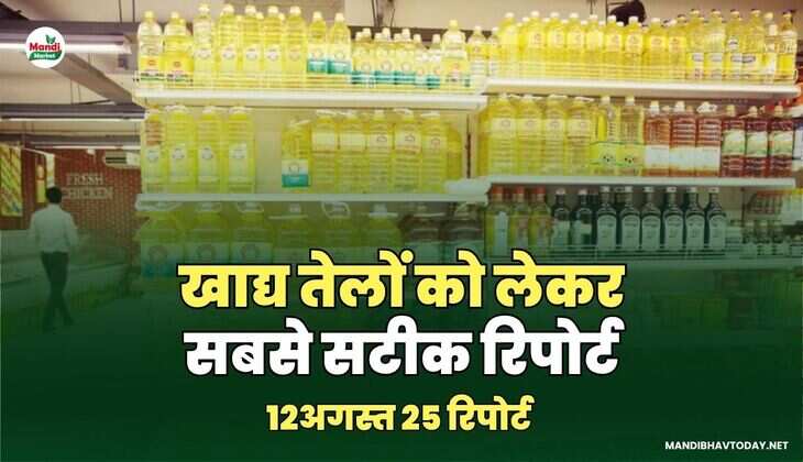 खाद्य तेलों को लेकर सबसे सटीक रिपोर्ट