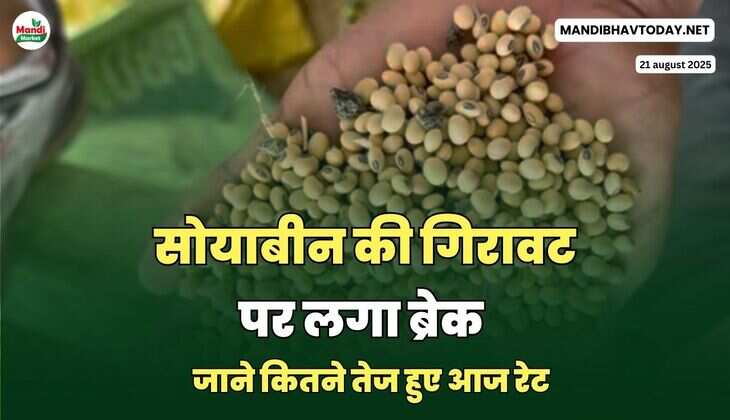 जाने कितने तेज हुए आज रेट