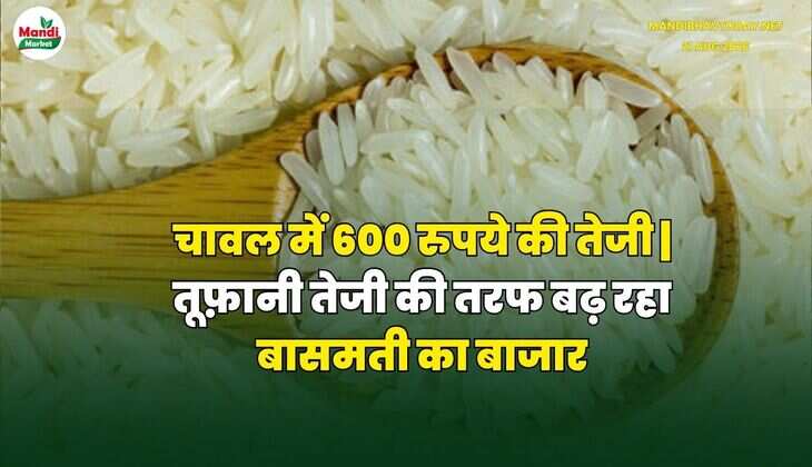 MANDI RATES 