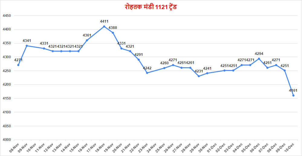 धान 1121 ने किया 4200 स्तर मेंटेन | जाने मंडियों में क्या लगे टॉप रेट