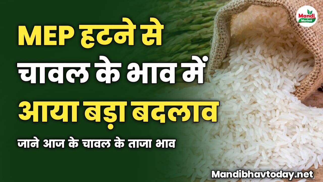 MEP हटने से चावल के भाव में आया बड़ा बदलाव | जाने आज के चावल के ताजा भाव
