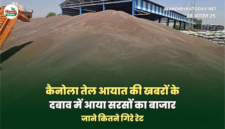 जाने कितने गिरे रेट