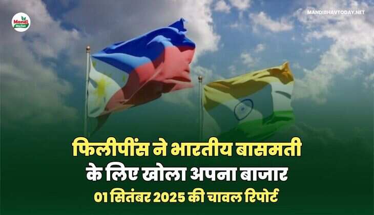 01 सितंबर 2025 की चावल रिपोर्ट 