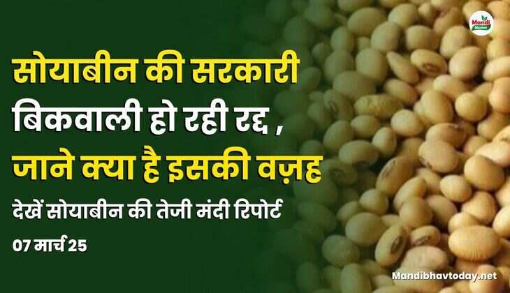 सोयाबीन images 