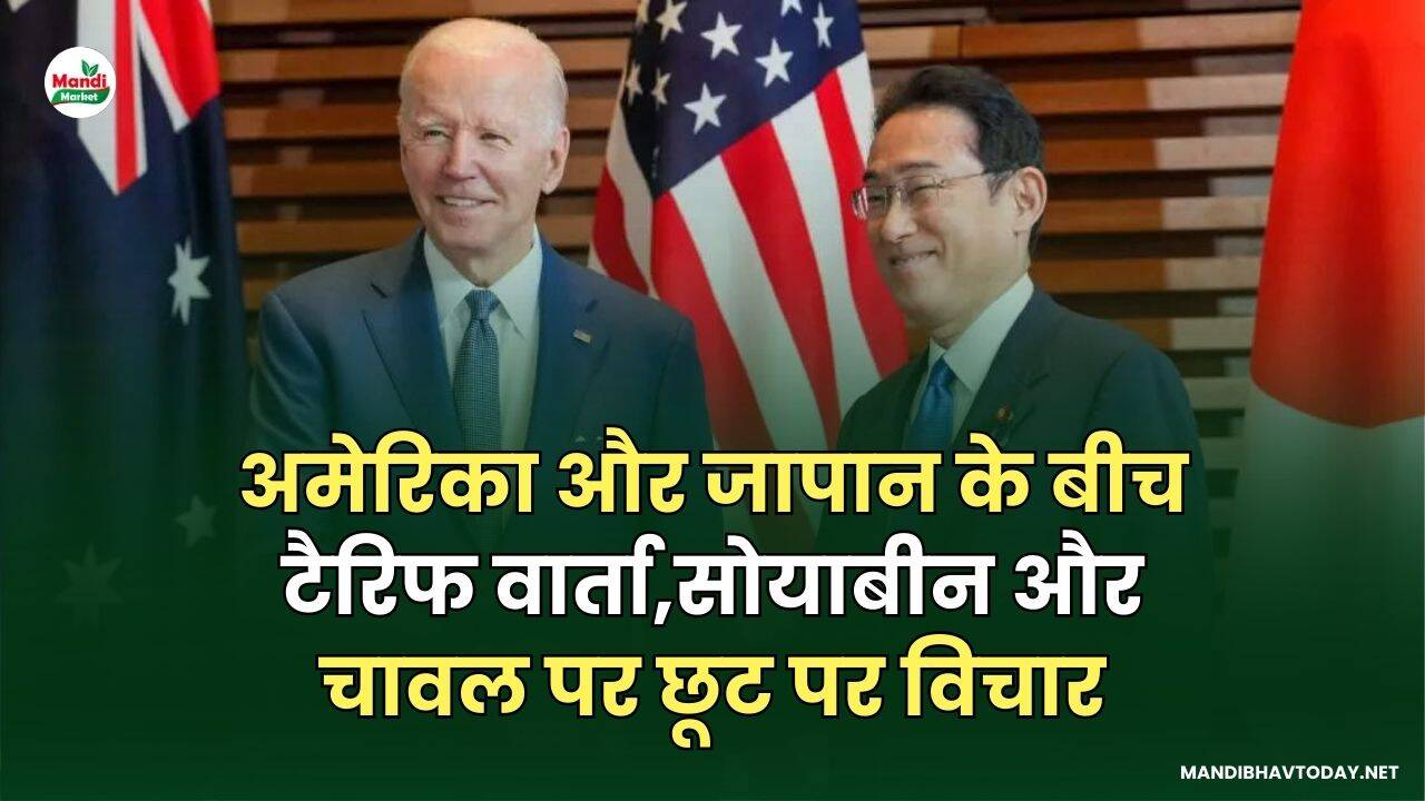 अमेरिका और जापान के बीच टैरिफ वार्ता: सोयाबीन और चावल पर छूट पर विचार