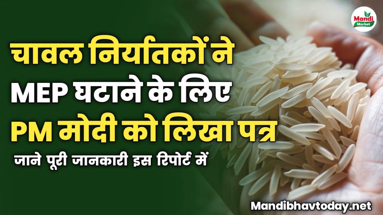 चावल निर्यातकों ने बासमती पर MEP घटाने के लिए PM मोदी को लिखा पत्र | जाने पूरी जानकारी इस रिपोर्ट में