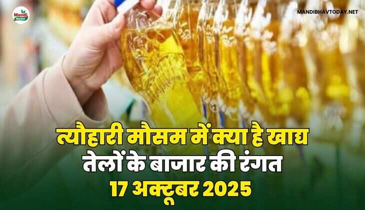 त्यौहारी मौसम में क्या है खाद्य तेलों के बाजार की रंगत
