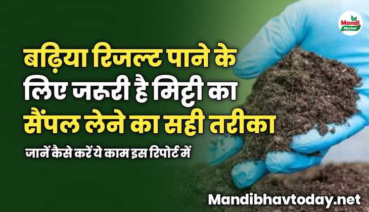 बढ़िया रिजल्ट पाने के लिए जरूरी है मिट्टी का सैंपल लेने का सही तरीका | जानें कैसे करें ये काम