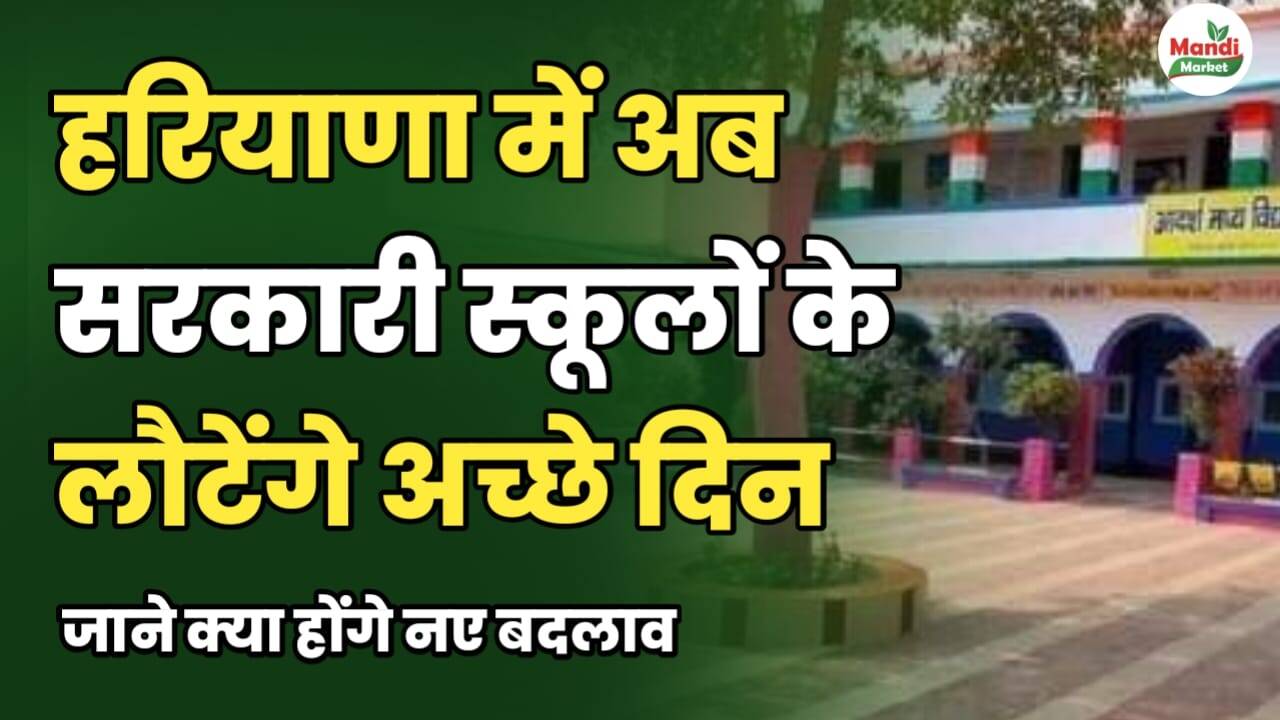 हरियाणा में सरकारी स्कूलों के लौटेंगे अच्छे दिन: जाने क्या होंगे नए बदलाव