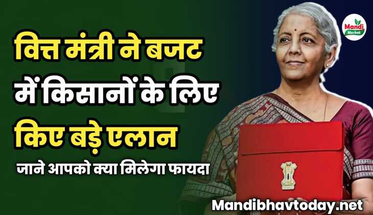 वित्त मंत्री ने बजट में किसानों के लिए किए बड़े एलान | जाने आपको क्या मिलेगा फायदा