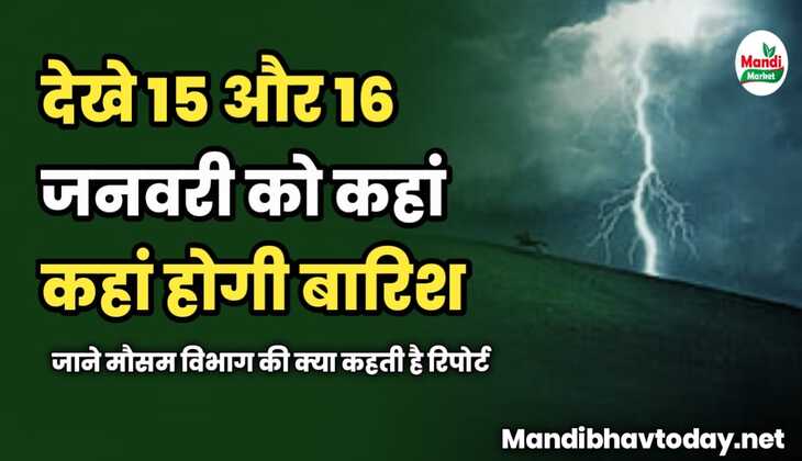 15 और 16 जनवरी को कहां कहां होगी बारिश | जाने मौसम विभाग की क्या कहती है रिपोर्ट