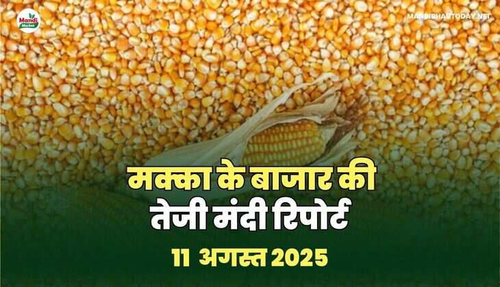 मक्का IMAGES